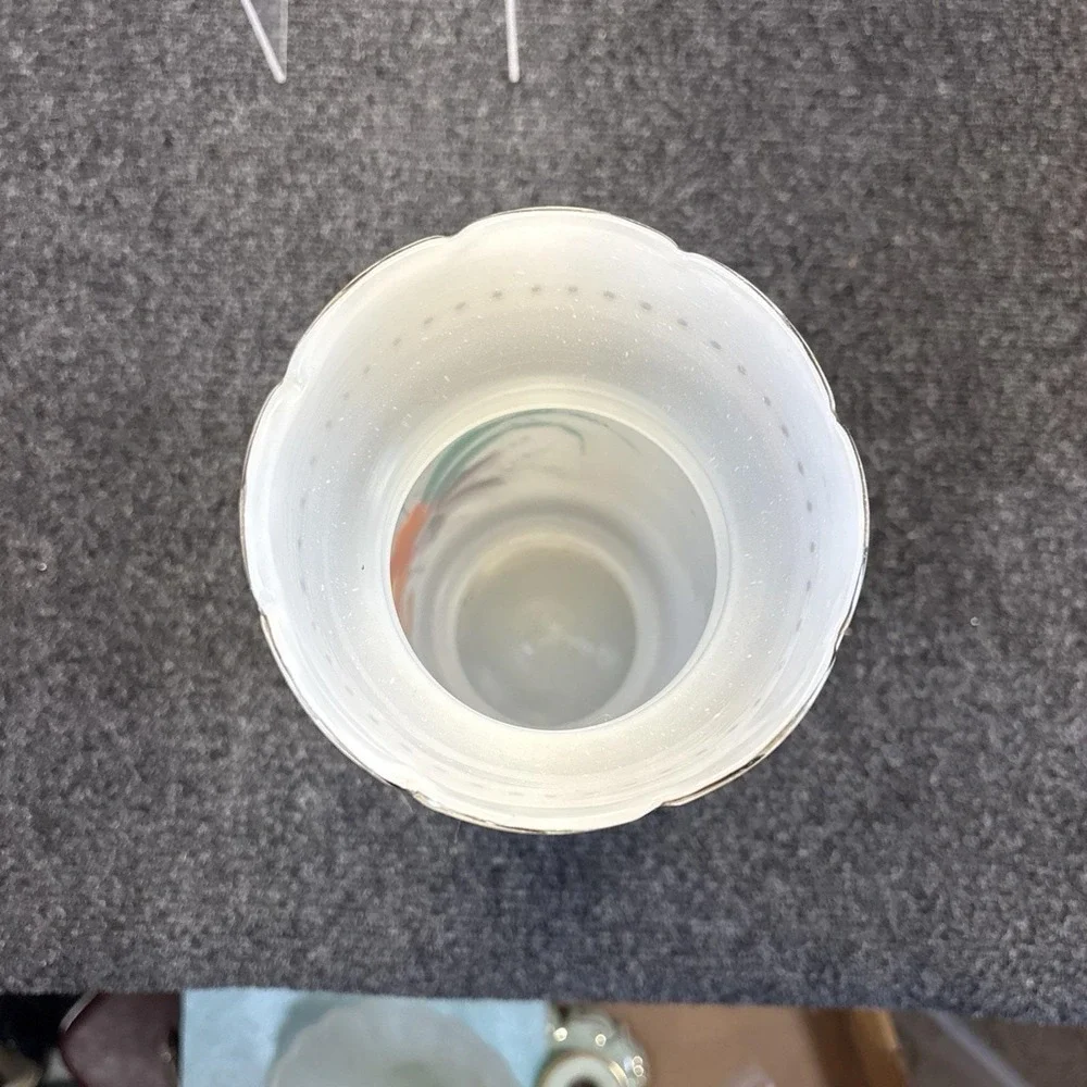 Vtg~1920s Hand Painted Floral/Frosted Glass Vase~14
